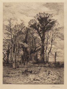Il bordo della palude da Peter Moran