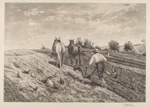 Il contadino