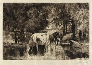 La piscina da Peter Moran