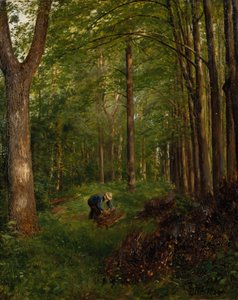 Vecchio pioppo, sezione del giardino di Gulskov da Peter Nicolai Arbo