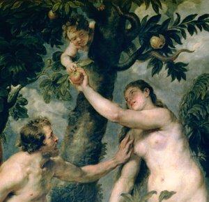 Adamo ed Eva (copiato dal dipinto di Tiziano) (dettaglio) da Peter Paul Rubens