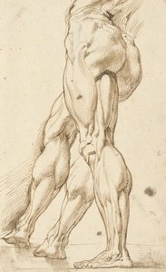 Studio di un écorché delle gambe di un nudo maschile, con uno studio sussidiario della gamba destra