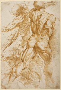 Studi anatomici da Peter Paul Rubens