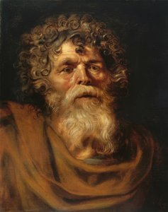 Ritratto di un vecchio barbuto da Peter Paul Rubens