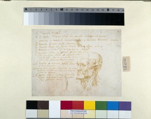 Testa scorticata, con le caratteristiche dell