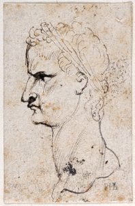 Gaio Caligola, da dieci disegni di otto dei primi dodici Cesari, dopo le medaglie di Giovanni da Cavino
