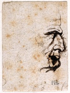 Galba, da dieci disegni di otto dei primi dodici Cesari, dopo le medaglie di Giovanni da Cavino da Peter Paul Rubens