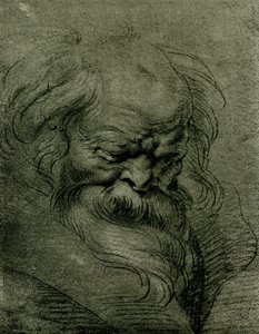 Studio di testa per Bacco da Peter Paul Rubens
