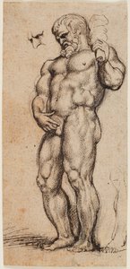 Ercole