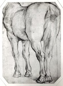 Retro del cavallo da Peter Paul Rubens