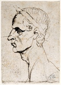 Giulio Cesare, da dieci disegni di otto dei primi dodici Cesari, dopo le medaglie di Giovanni da Cavino