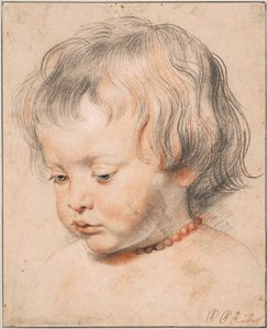 Nicolaas Rubens con una collana di corallo, ca 1619 da Peter Paul Rubens