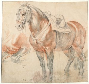 Cavallo sellato, c. 1616-1618