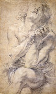 Giovane maschio seduto (Studio per Daniele) da Peter Paul Rubens