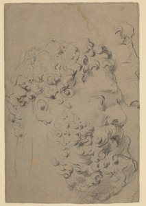 Studi della testa e del profilo dell
