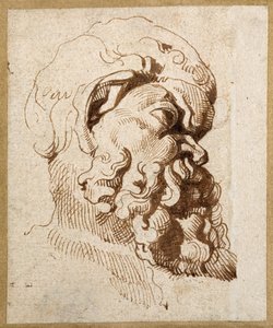 Studio di una testa antica di Sileno