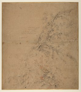 Studio di prugnolo con rovo e altre piante