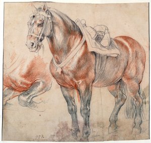 Un cavallo sellato