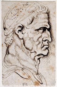 Vespasiano, da dieci disegni di otto dei primi dodici Cesari, dopo le medaglie di Giovanni da Cavino