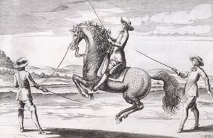 Illustrazione di un cavallo en Croupade da Nuovo Trattato per l