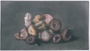 Natura morta di fiori secchi da Peter Vilhelm Ilsted
