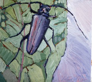 Scarabeo muschiato