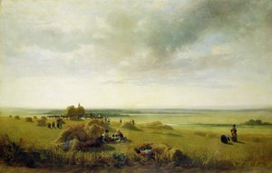 Un campo di grano