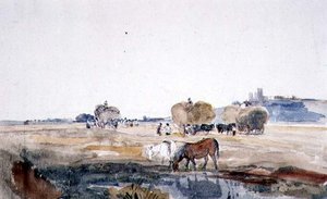 Un campo di fieno a Lincoln da Peter de Wint