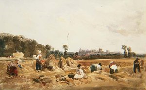 Campo di grano, Windsor da Peter de Wint