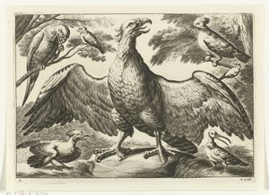 Aquila (Diversarum avium species) da Peter van Liesebetten