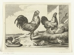 Gallina, galli e pulcini da Peter van Liesebetten