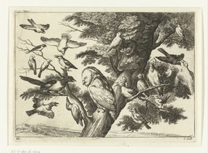 Uccelli su un albero da Peter van Liesebetten