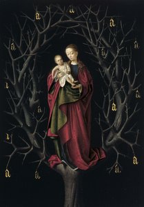 La Vergine dell