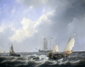 Marina dalle acque della Zelanda, vicino all