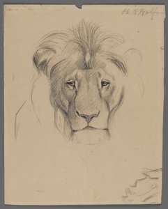 Testa di un leone da Philip H. Wolfrom