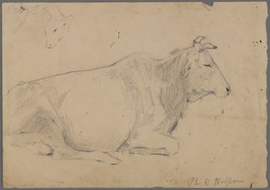Toro seduto da Philip H. Wolfrom