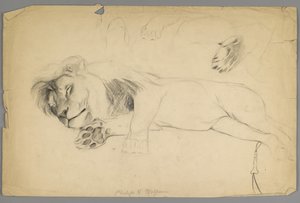 Leone dormiente da Philip H. Wolfrom
