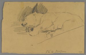 Orso polare dormiente da Philip H. Wolfrom