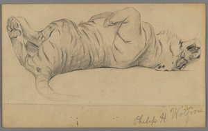 Tigre che dorme da Philip H. Wolfrom