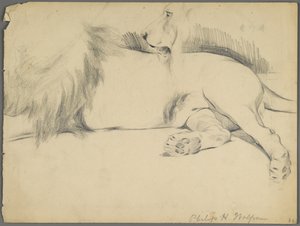 Studi di un leone da Philip H. Wolfrom
