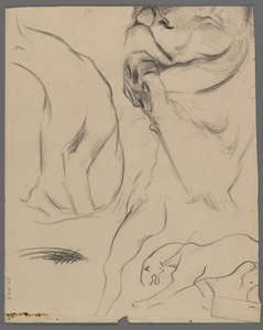 Studi di un leone da Philip H. Wolfrom