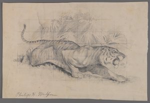 Tigre nel paesaggio da Philip H. Wolfrom