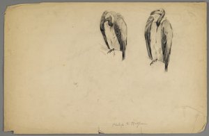 Avvoltoi da Philip H. Wolfrom