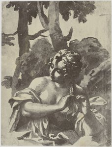 Ragazza che si intreccia i capelli da Philip Henry Delamotte