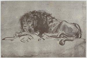 Un leone da Philip Henry Delamotte
