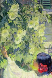 Agrifogli, 1923 circa (olio su tela)