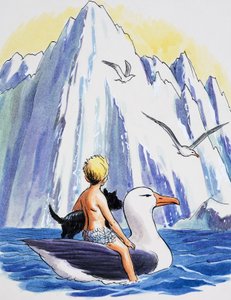 Gli iceberg dell