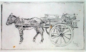Asino e carro