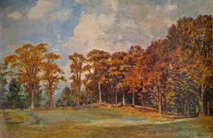Boschetto a Bridgnorth, 1901 1935