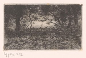 Prato con recinzione e alberi da Philip Zilcken